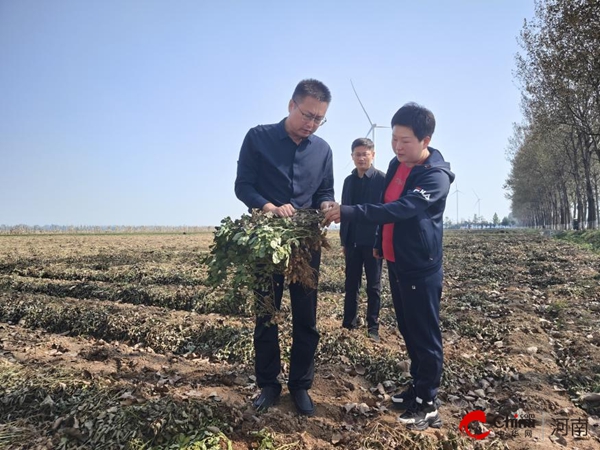 西平县副县长丁中华一行到五沟营镇调研“三秋”生产工作|世界即时看